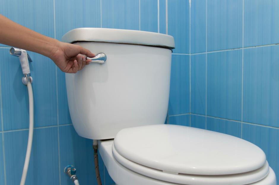 Singapore: not flushing the toilet – $376 (£270) fine